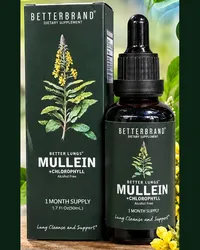 Foto del producto: caja verde y frasco gotero ámbar de 50 mL de Better Lungs Mullein con clorofila, sin alcohol